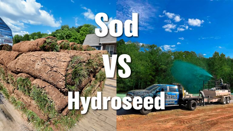 Sod VS Hydroseed – Which one is right for you?